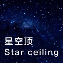 Fiber Star Ceiling